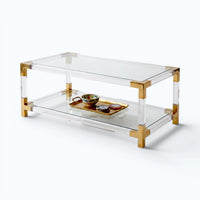 Minimalist Clear Acrylic Coffee Table - Gold