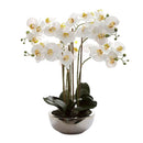 Lifelike Phalaenopsis Orchid Silver Pot 50cm
