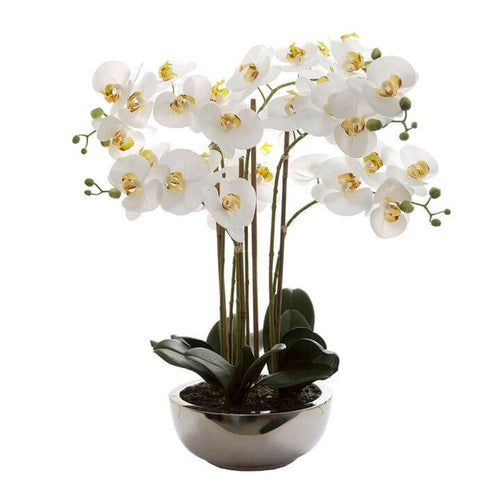 Lifelike Phalaenopsis Orchid Silver Pot 50cm