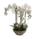 Lifelike White Orchid Distressed Pot 65cm