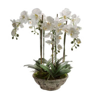 Lifelike White Orchid Distressed Pot 65cm
