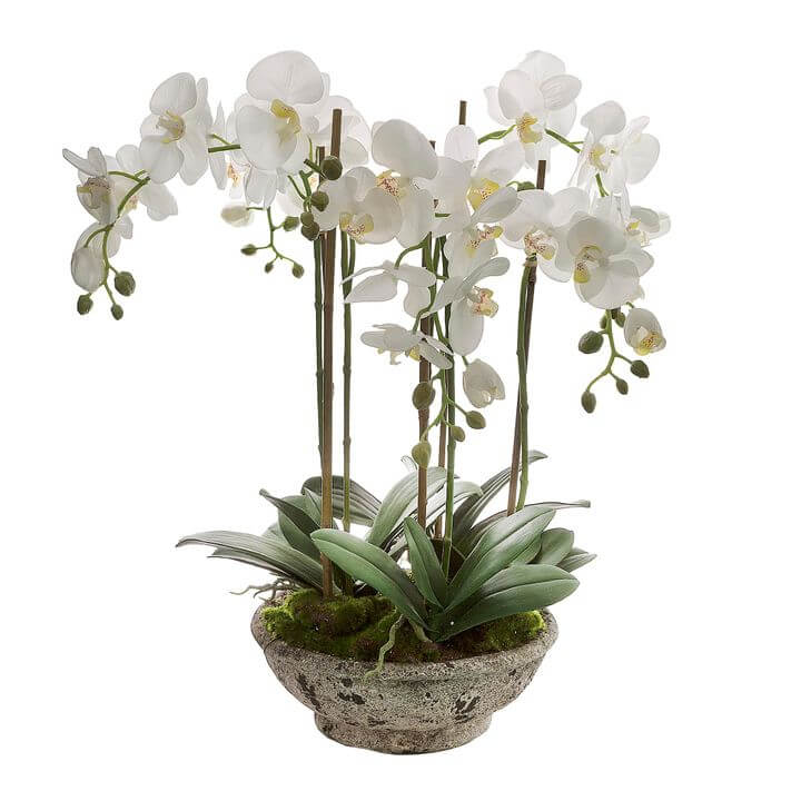 Lifelike White Orchid Distressed Pot 65cm
