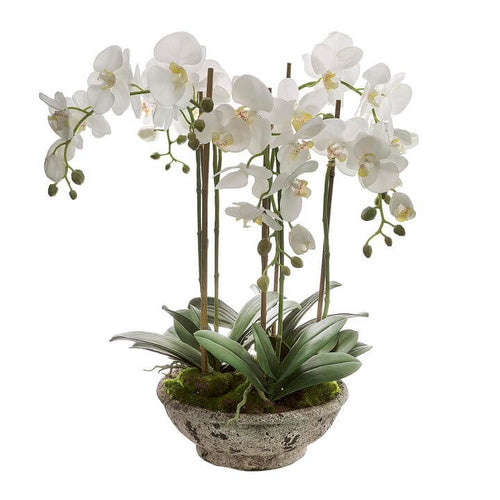 Lifelike White Orchid Distressed Pot 65cm