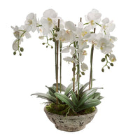 Artificial White Realistic Faux Orchid 65cm - Luxury Co