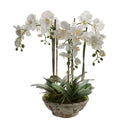 Artificial White Realistic Faux Orchid 65cm - Luxury Co