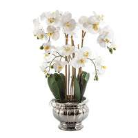 Large Potted Orchid Silver Bowl White Artificial Plant 68cm - Luxury Co