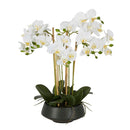 Large White Orchid in Black Pot Artificial Orchid 51cm - Luxury Co