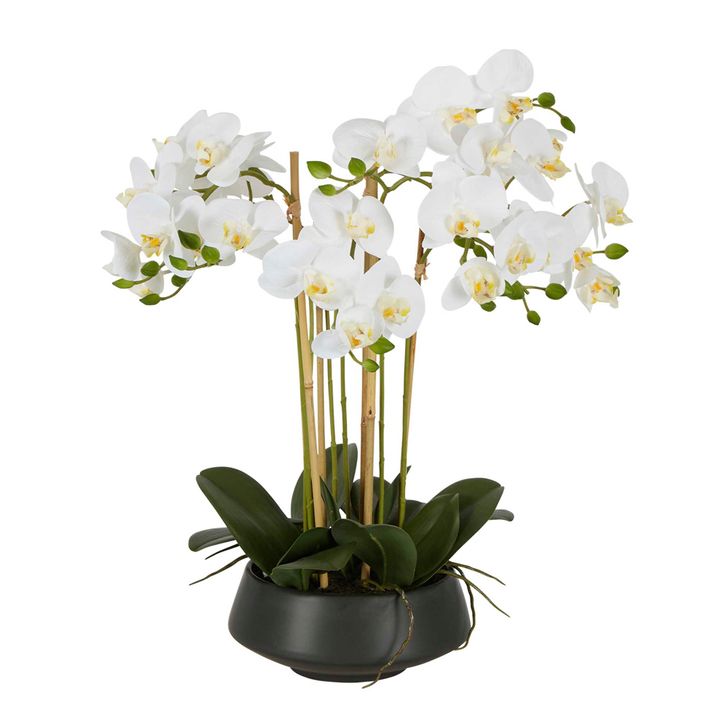 Large White Orchid in Black Pot Artificial Orchid 51cm