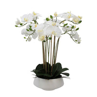 Large White Orchid in White Pot Artificial Orchid 51cm - Luxury Co