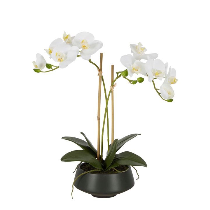 Medium White Orchid Black Pot Artificial Real Look 41cm