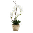 Real Touch Ceramic Gold Pot White Orchid Artificial Plant 60cm - Luxury Co