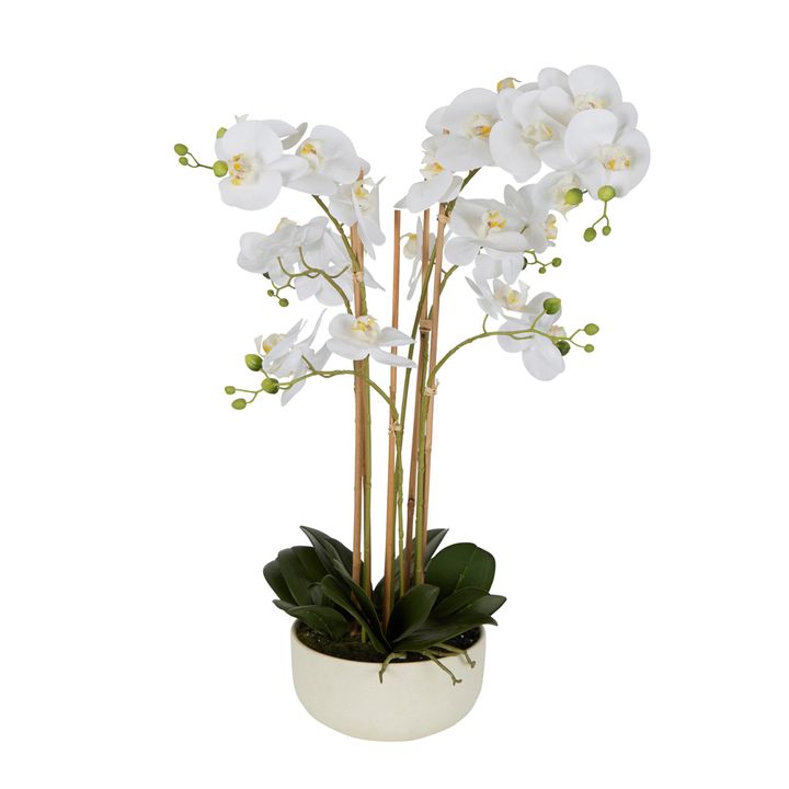 Real Touch Orchid Potted White Artificial Plant 71cm